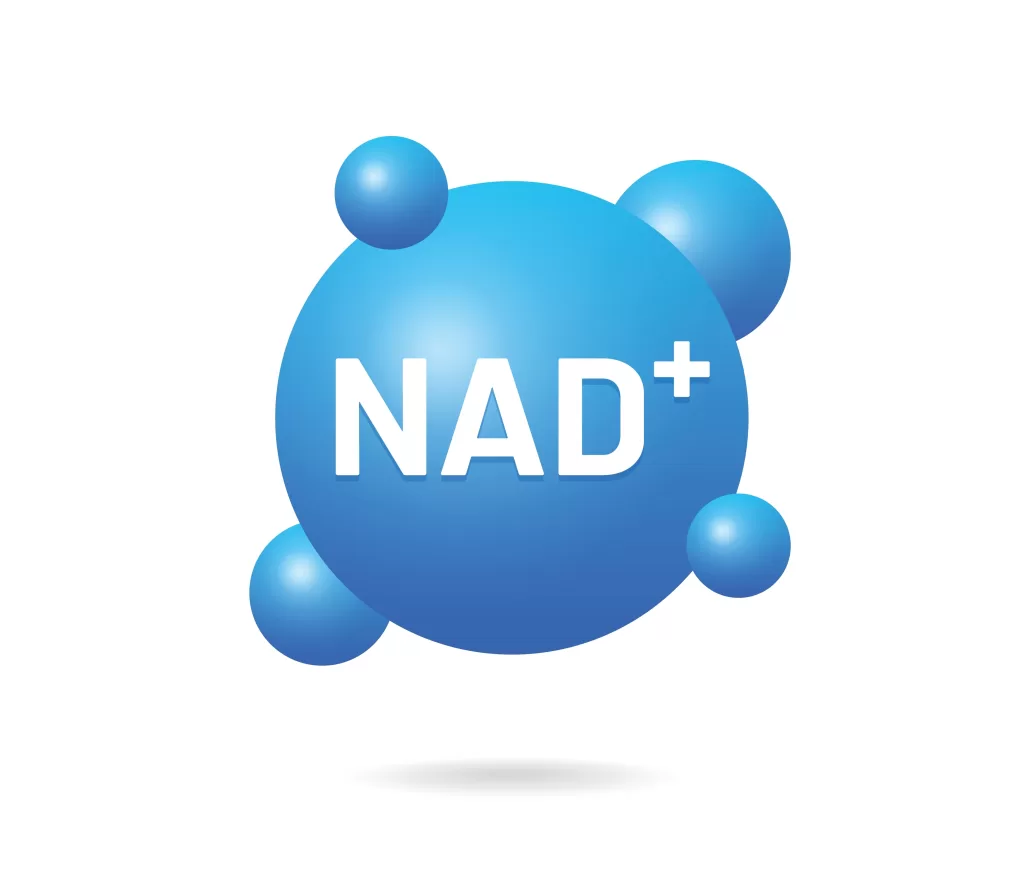 NAD-molecule-scaled.